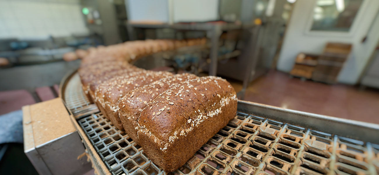 Hoffmeister Bäckereimaschinen - Brote auf dem Förderband
